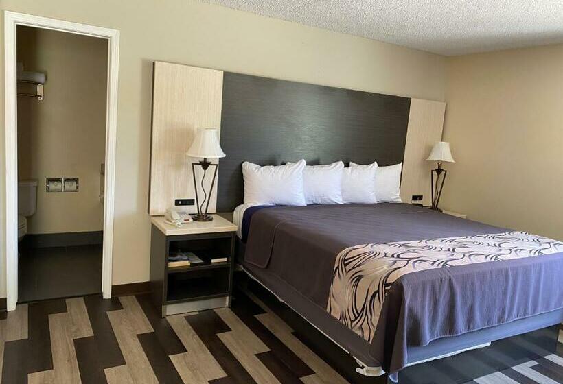 Стандартный Номер Кровать Кинг, Regency 7 Motel