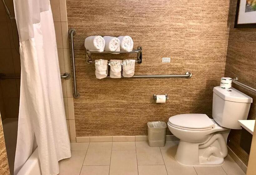 Номер Стандарт Адаптированный для Инвалидов, Holiday Inn Express & Suites Pasadena   Los Angeles, An Ihg
