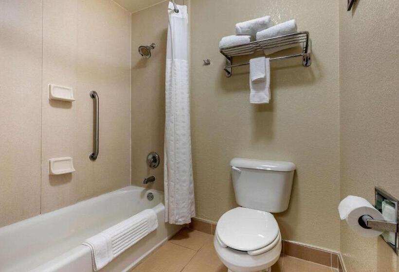 Люкс Кровать Кинг, Comfort Inn & Suites Kenosha Pleasant Prairie