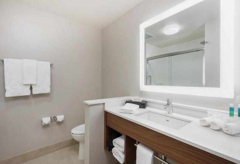 Номер Стандарт Кровать Кинг Адаптированный для Инвалидов, Holiday Inn Express & Suites West Plains Southwest By Ihg
