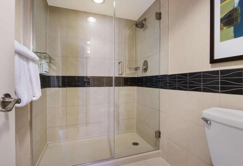 Standaard Studio met Kingsize Bed, Sonesta Es Suites Chicago Downtown Magnificent Mile  Medical