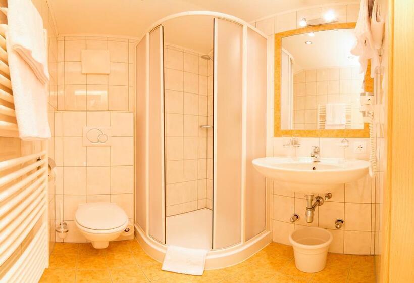 اتاق استاندارد, Pension Sonnleitn