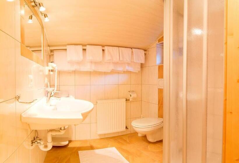 آپارتمان 1 خوابه با چشم‌انداز, Pension Sonnleitn