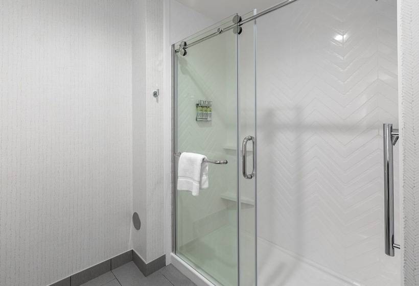 标准间, Holiday Inn Greenville   Woodruff Road, An Ihg