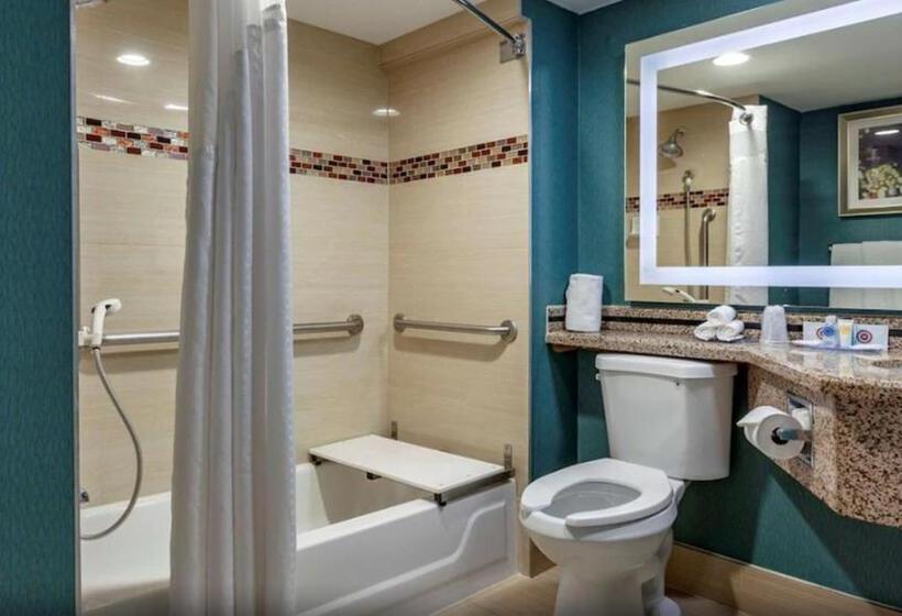 اتاق استاندارد با تخت بزرگ برای معلولان, Comfort Inn & Suites Houston I10 West Energy Corridor