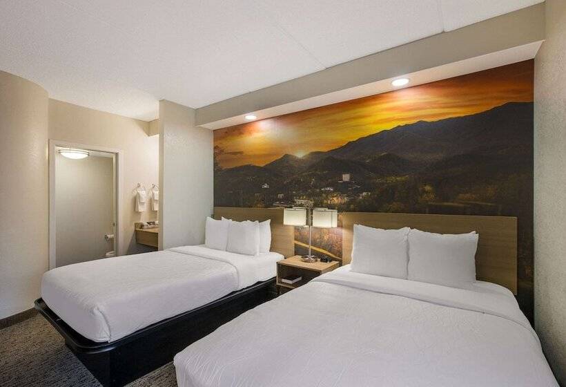 带2个双人床的标准工作室, Clarion Pointe Sevierville Pigeon Forge