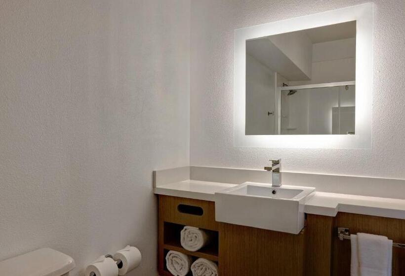 מיטת קינג בסוויטה, Springhill Suites By Marriott Las Cruces