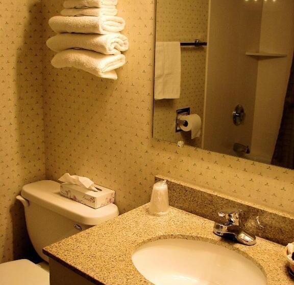 Номер Стандарт, Stagecoach Inn & Suites