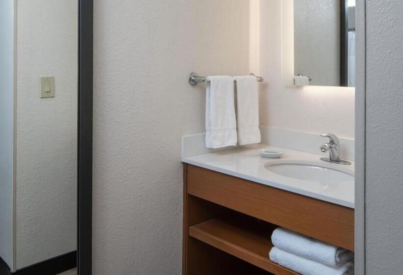 Standard Stúdiószoba Franciaággyal King Size, Springhill Suites By Marriott Charleston Riverview
