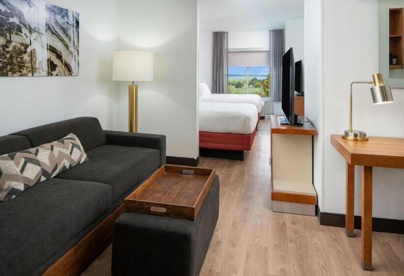 Standard Stúdió Szoba Queen Size Bed, Springhill Suites By Marriott Charleston Riverview