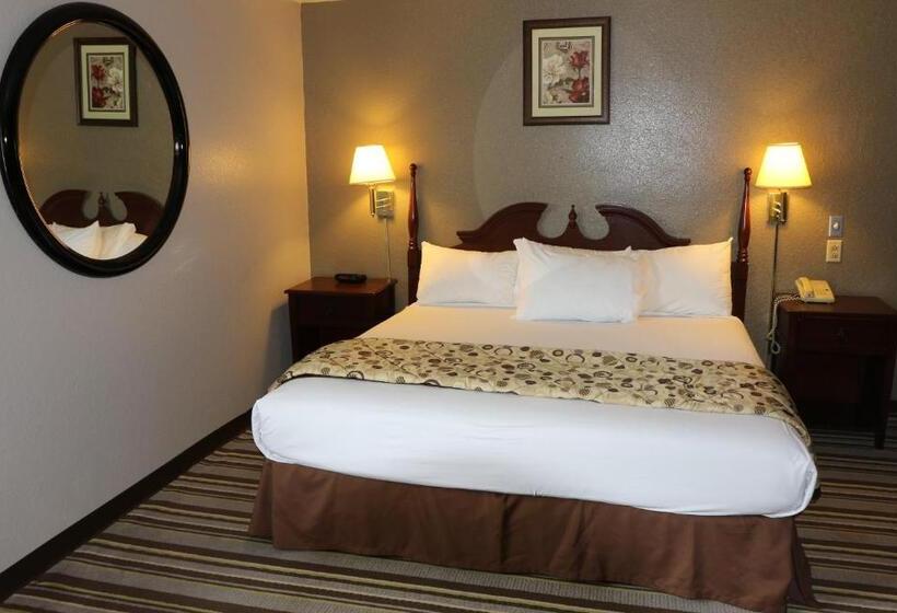带大床的标准间, American Elite Inn