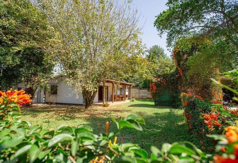 Апартаменты 1 Спальня Вид на Сад, Golden Candle Guest House