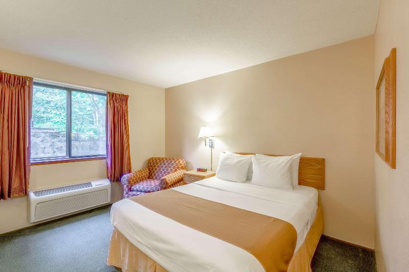 스탠다드 룸 킹사이즈 침대, Rodeway Inn