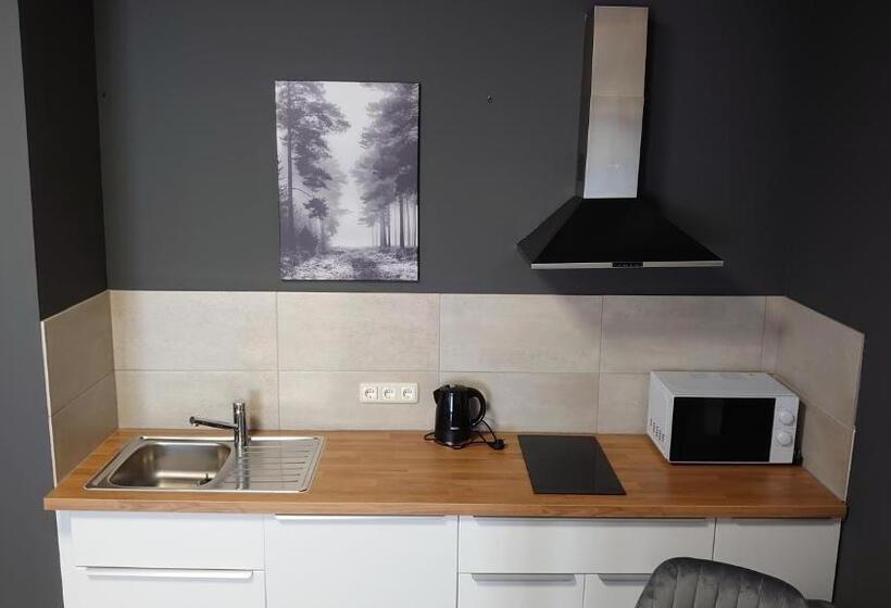Апартаменты Superior 1 Спальня, Maxim Apartments Mainz