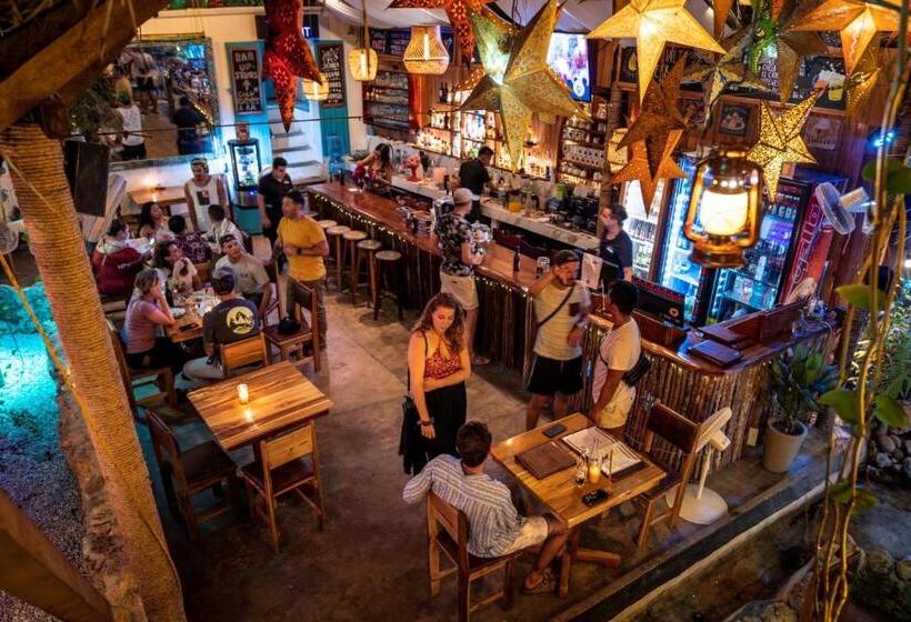 آپارتمان 1 خوابه با تراس, Los Amigos Hostel