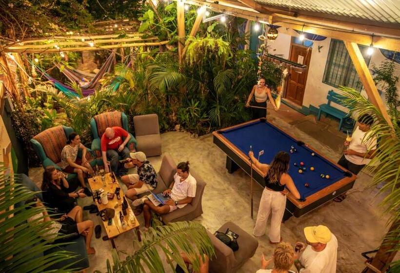اتاق لوکس با تخت بزرگ, Los Amigos Hostel