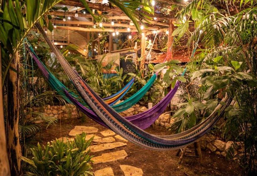 اتاق لوکس, Los Amigos Hostel