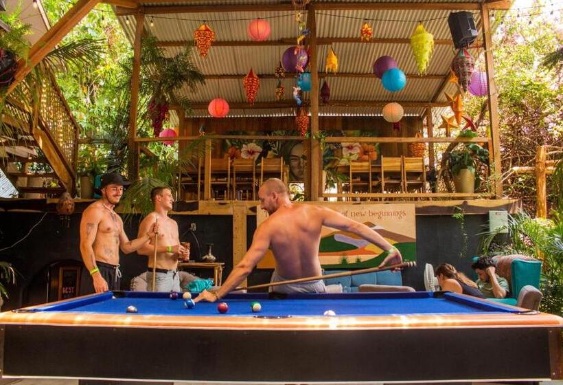 اتاق لوکس, Los Amigos Hostel