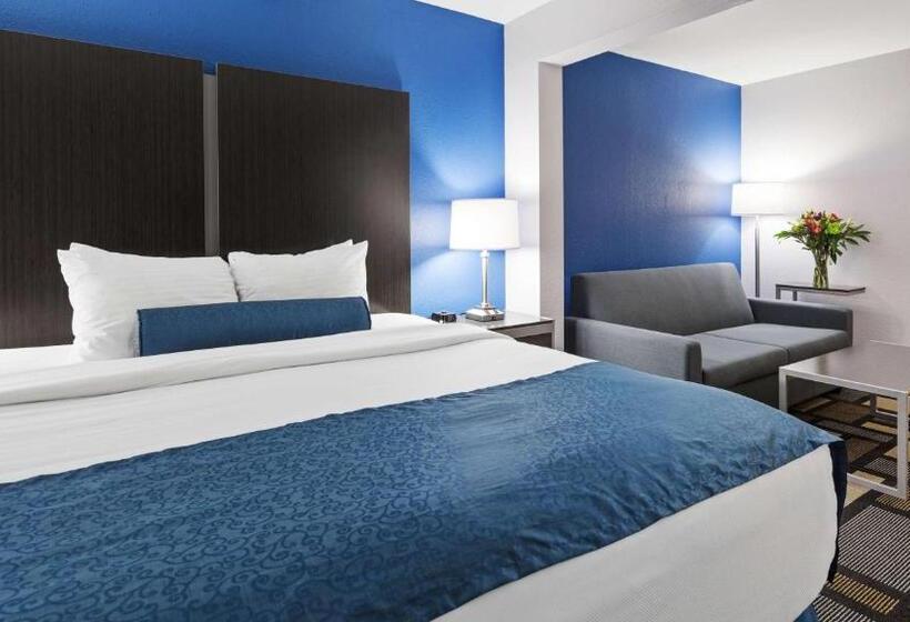장애인을 위한 킹사이즈 침대 스탠다드 룸, Best Western Plus Birmingham Inn & Suites