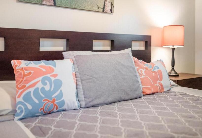 Апартаменты Deluxe 1 Спальня, Lahaina Wonderful Condos