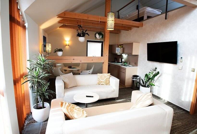 带1个卧室的高级公寓, Apart Hotel Jablonec