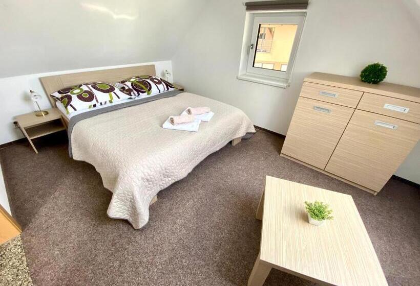 带2个卧室的公寓, Penzion Sen