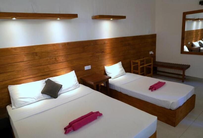 Standard Triple Room with Terrace, Pub Ceylon Hostel