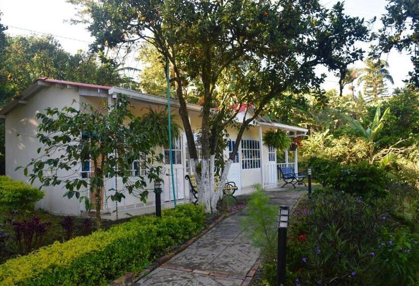 스탠다드 룸, Hostal Fisterra