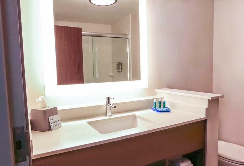 Стандартный Номер Кровать Кинг, Holiday Inn Express & Suites   Houston Iah   Beltway 8, An Ihg