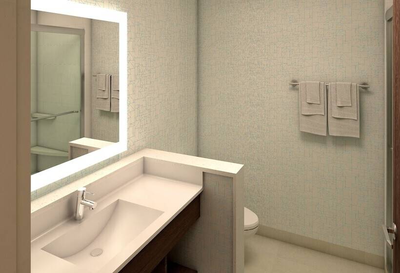 Люкс, Holiday Inn Express & Suites   Houston Iah   Beltway 8, An Ihg
