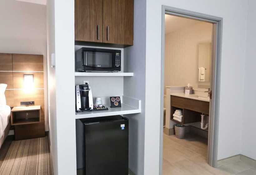 Люкс, Holiday Inn Express & Suites   Houston Iah   Beltway 8, An Ihg