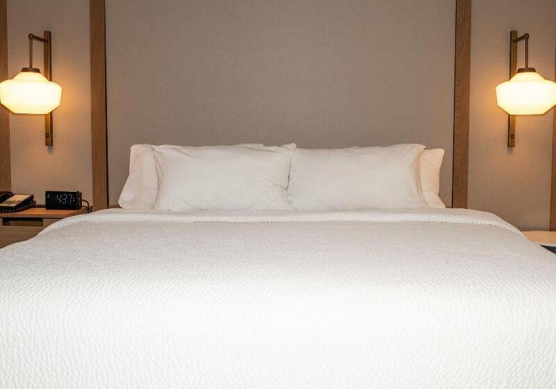 Номер Стандарт, Holiday Inn Express & Suites   Houston Iah   Beltway 8, An Ihg