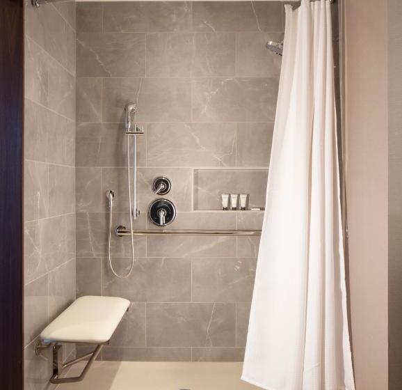 Engelliler için Büyük Çift Kişilik Yataklı Standart Oda, Grand Hyatt Nashville