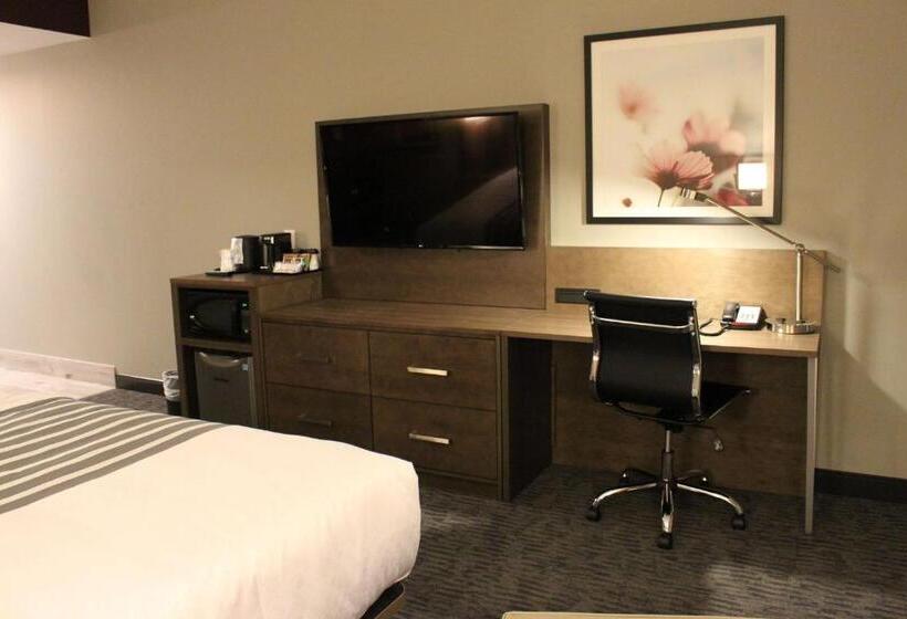 身障者適用キングサイズベッドルーム, Best Western Plus Dauphin
