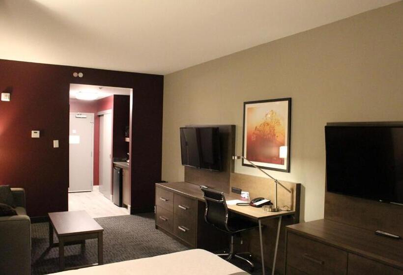 带大床的标准工作室, Best Western Plus Dauphin