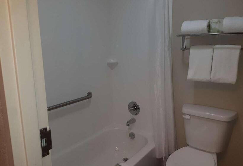 Стандартный Номер Кровать Кинг, Best Western Timberridge Inn
