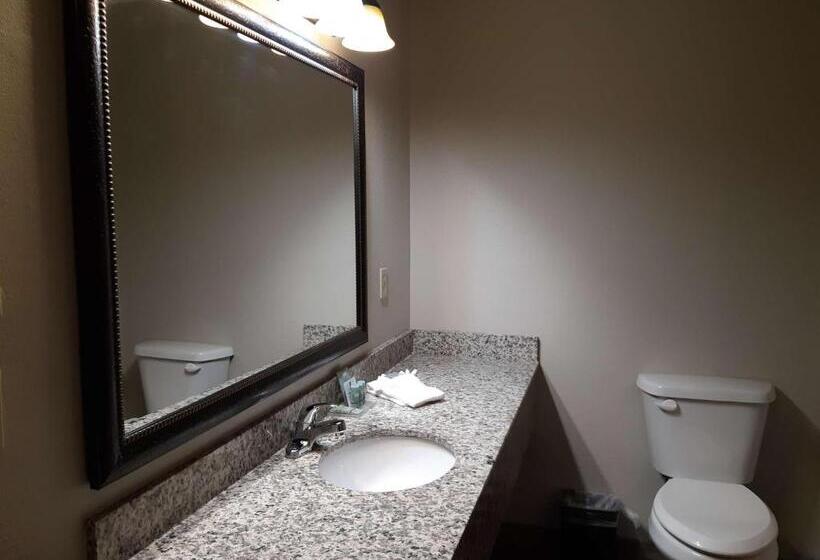 Стандартный Номер Кровать Кинг, Best Western Timberridge Inn