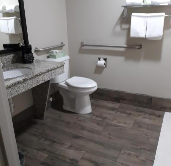 Номер Стандарт Кровать Кинг Адаптированный для Инвалидов, Best Western Timberridge Inn