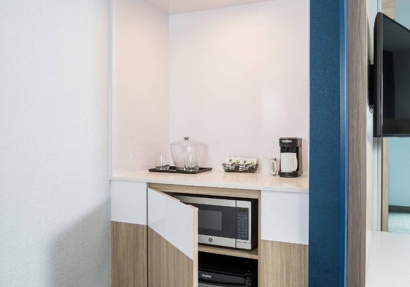 Люкс Кровать Кинг, Springhill Suites St. Paul Downtown