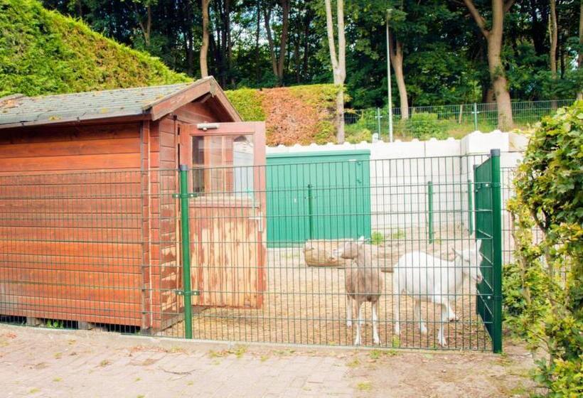Апартаменты 3 Спальни, Bungalow 6p