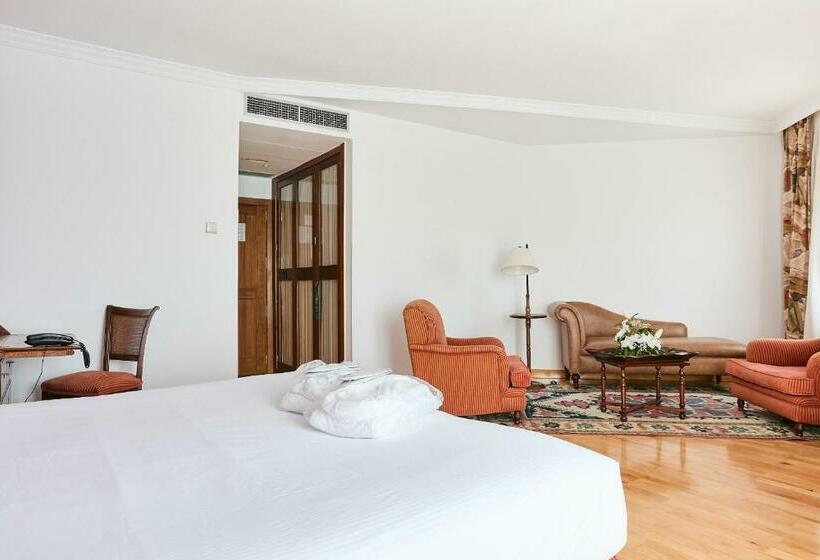 Номер Superior со СПА доступом, Silken Villa De Laguardia