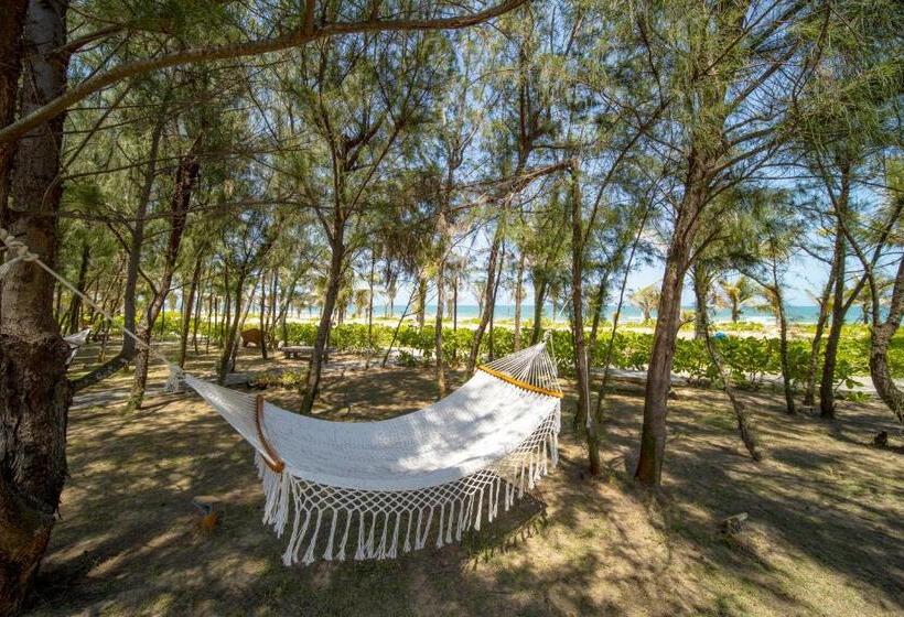 ویلای 1 خوابه با چشم‌انداز دریا, Sao Mai Beach Resort