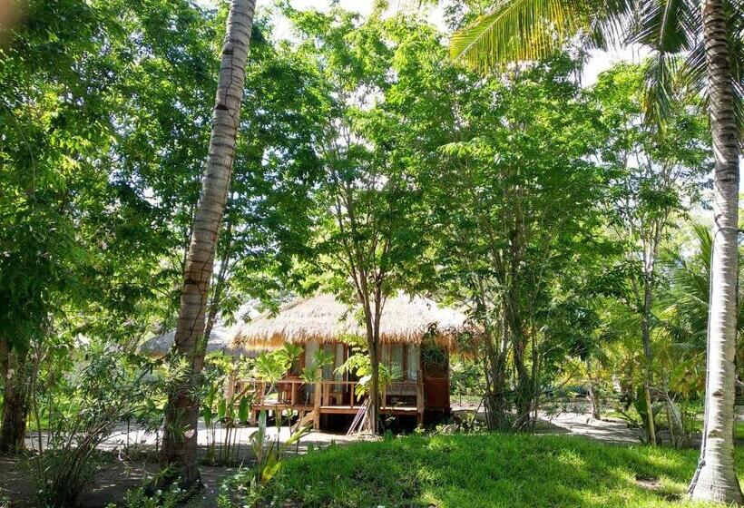 オーシャンビューのスタンダードバンガロー, Amrita Maumere Resort