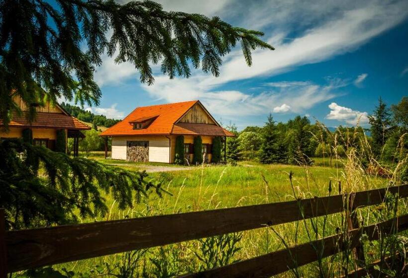 Апартаменты 1 Спальня, Pensiunea Sapte Flori