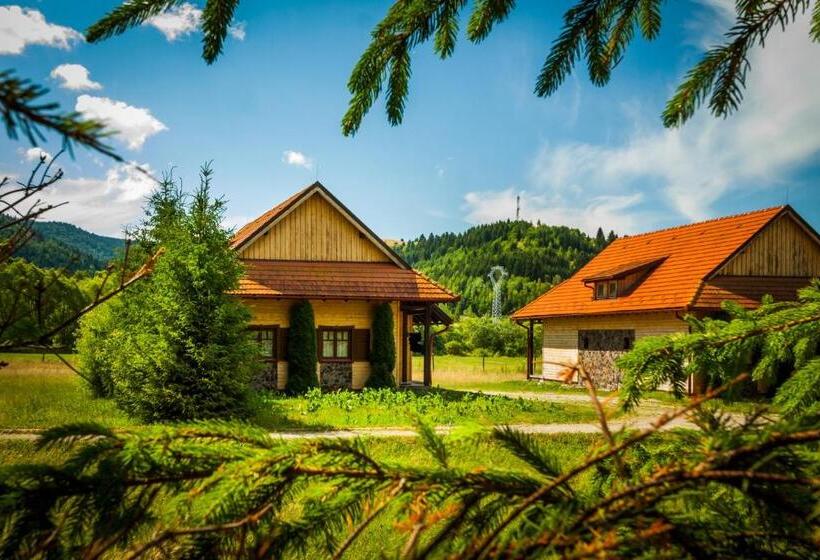 Апартаменты 1 Спальня, Pensiunea Sapte Flori