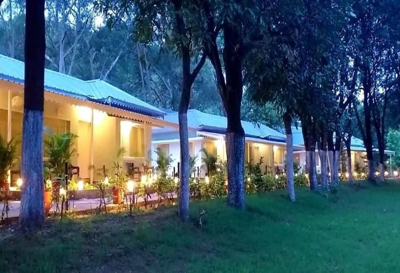 Люкс, Greendale Resort