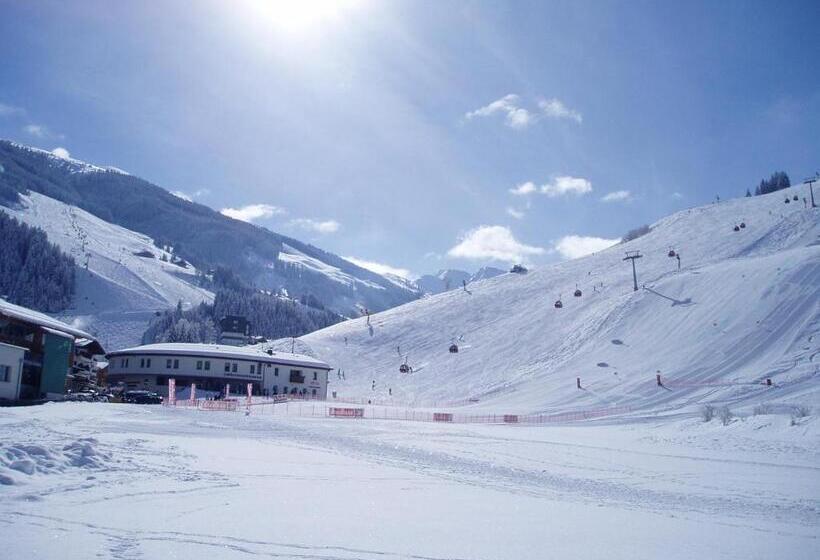 Апартаменты 1 Спальня Нижний Этаж, Am Zwölferkogel Appartements