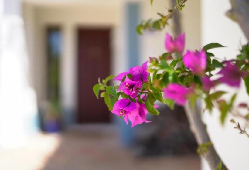 带4个卧室的别墅, Quinta Do Rosal