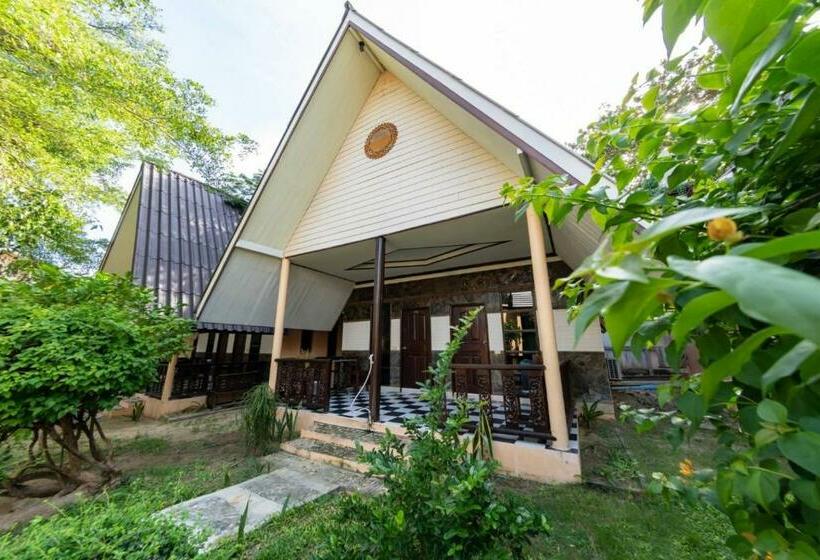 اتاق سوپریور, Tompizza Resort