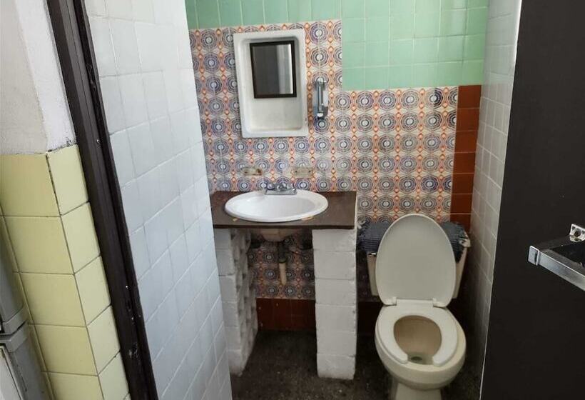 اتاق استاندارد, Antique Casa De Huespedes Barrio Antiguo